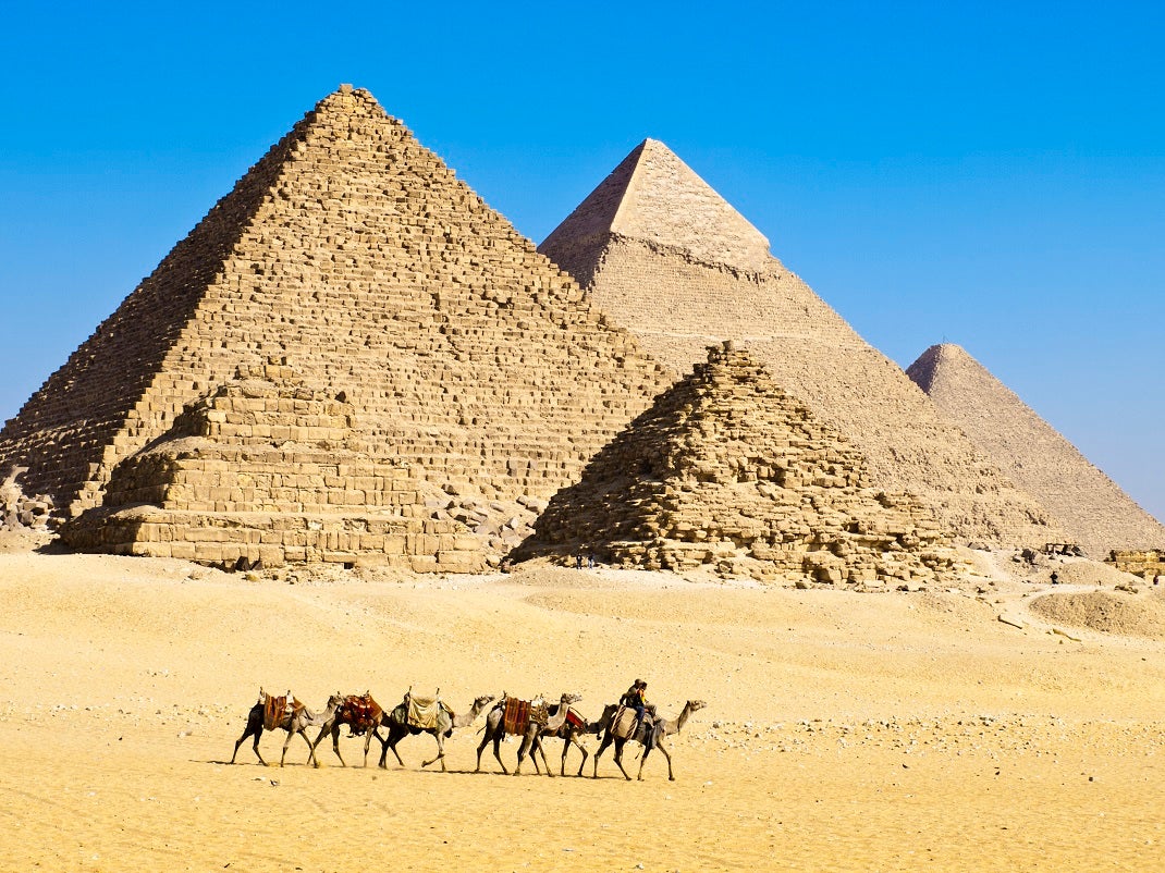 Trail of camels led by two drivers travels along in front of Pyramids of Giza.