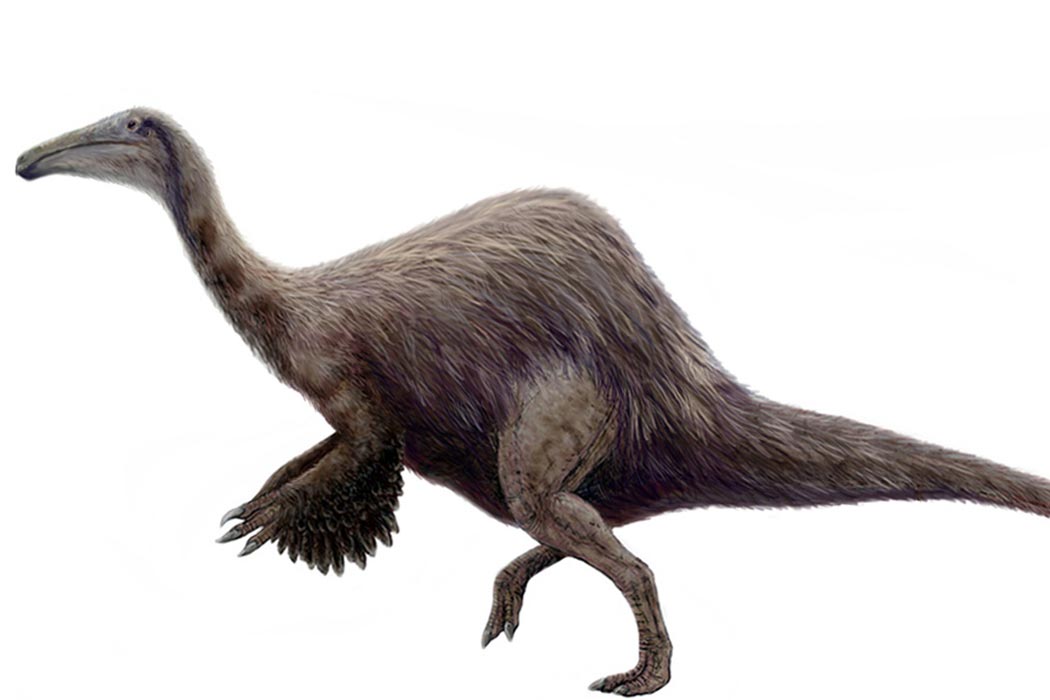 Deinocheirus: The Giant Dinosaur with Hands