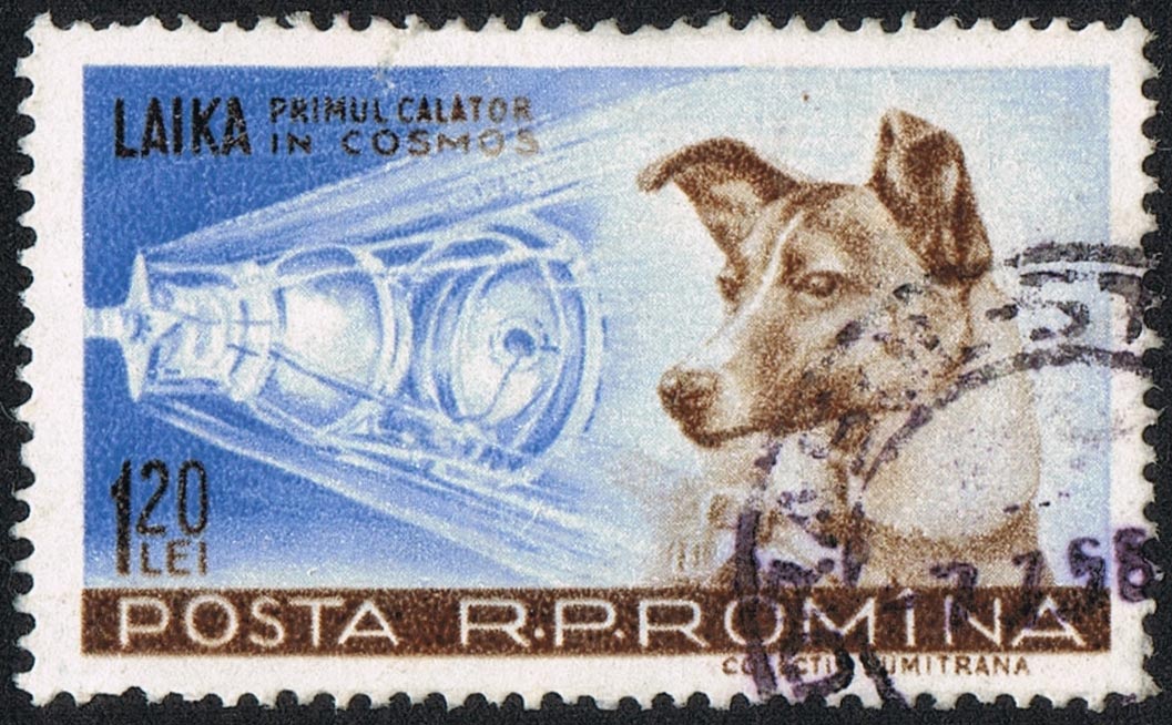 Laika: The First Earthling in Space - JSTOR Daily