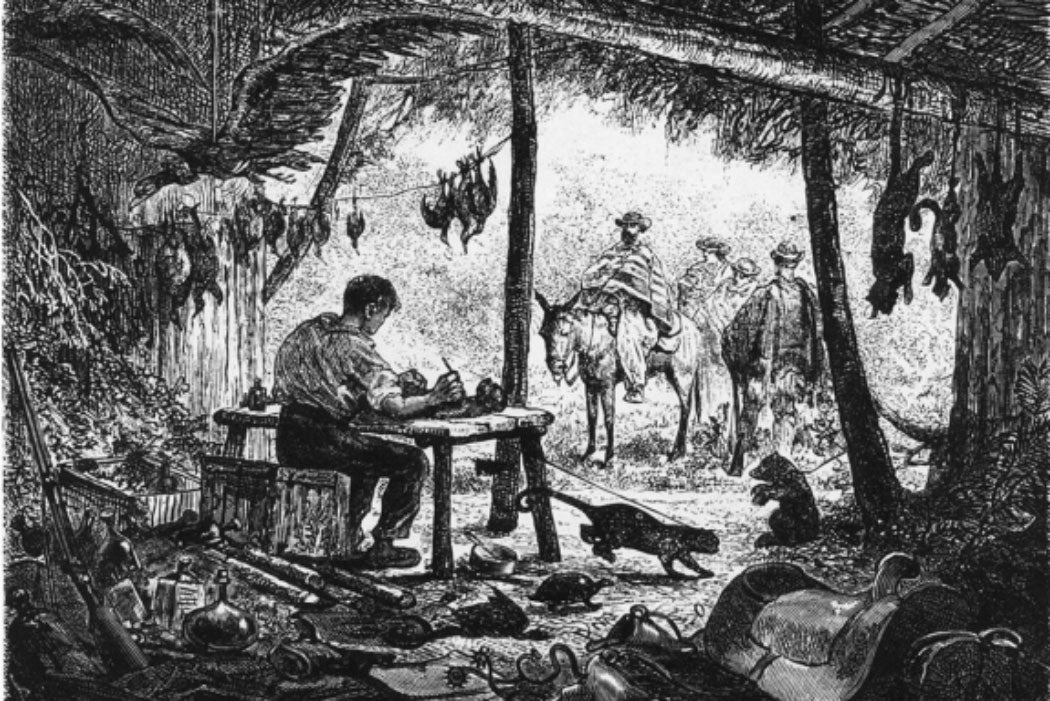 Black and white illustration of a man writing outside surrounded by wildlife with several visitors arriving by mule