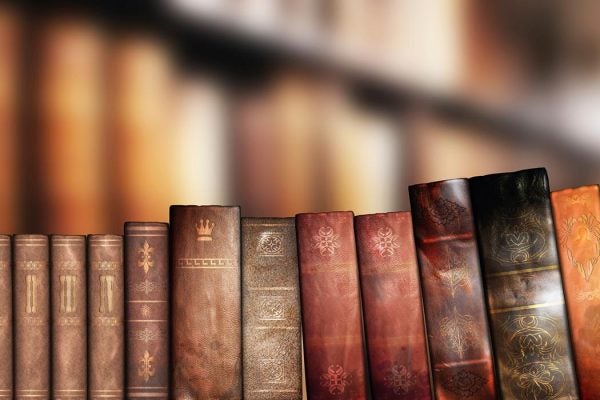 A shelf of weathered leather bound books