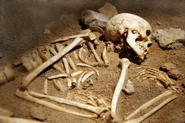 Human bones in sand partially uncovered