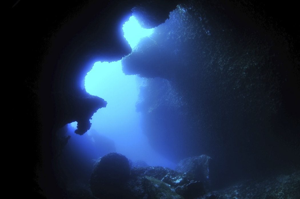 Into the Challenger Deep! | JSTOR Daily
