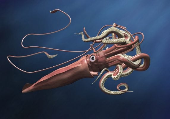 Giant squid lurking in the depths of a deep, dark ocean