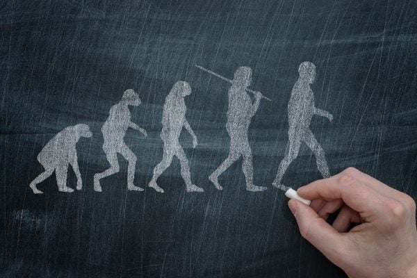 Chalkboard drawing of man's evolution