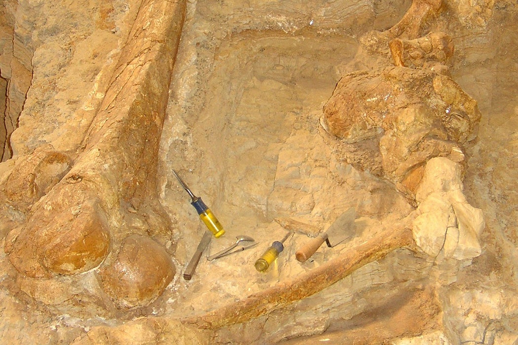 Archaeologist tools at the base of a stone