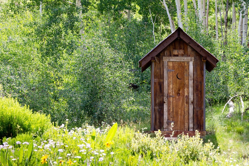 Outhouse in the forest