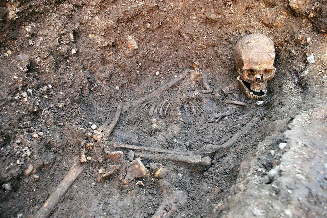 Photo: AP Images
LEICESTER UNIVERSITY COMFIRM THE SKELETAL REMAINS FOUND AT THE GREY FRIARS DIG ARE THAT OF RICHARD III