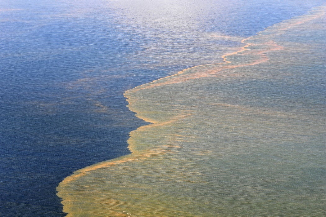 bp oil spill facts