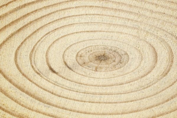 Sketched concentric circles on a textured cream background