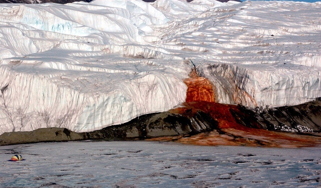 The Blood Falls seeps from the end of the Taylor Glacier into Lake Bonney.
