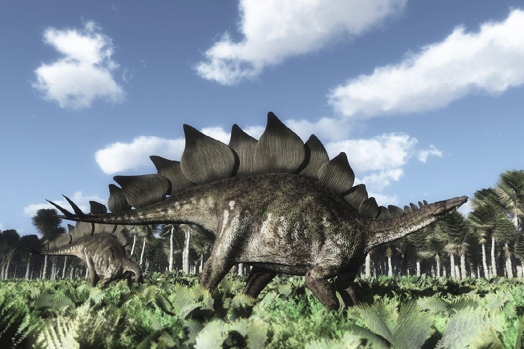 Illustrated Stegosaurus