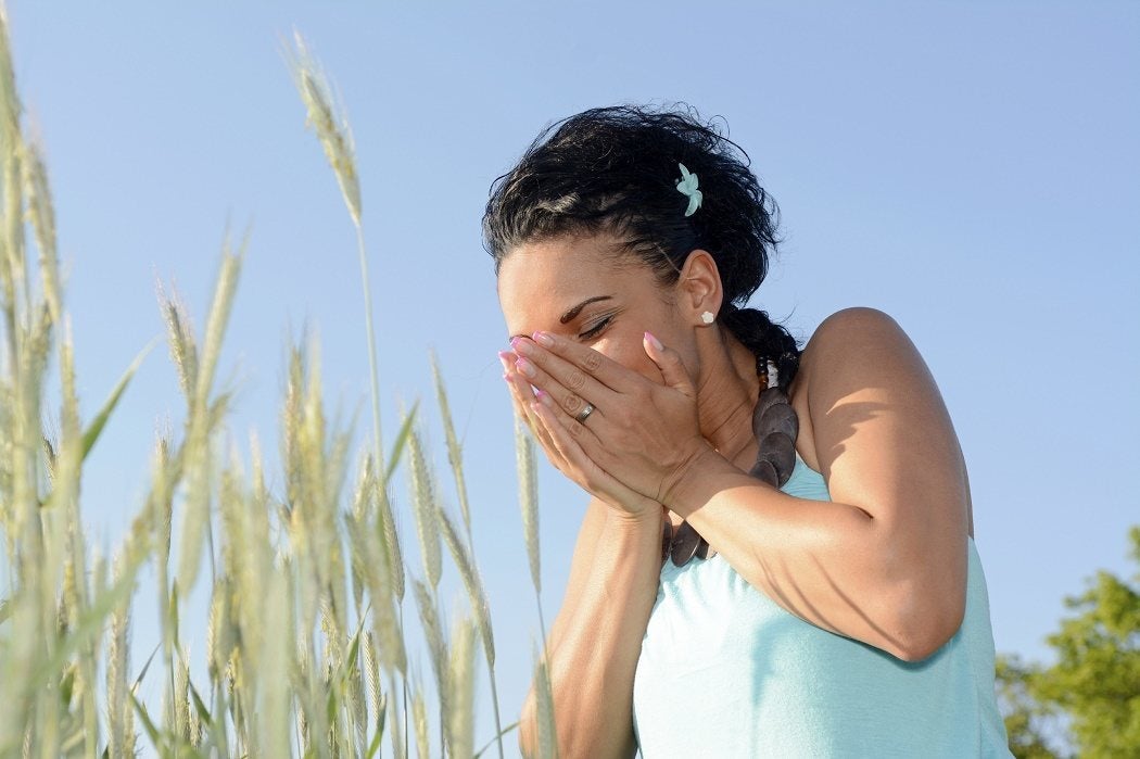 Woman sneezing in a grain field