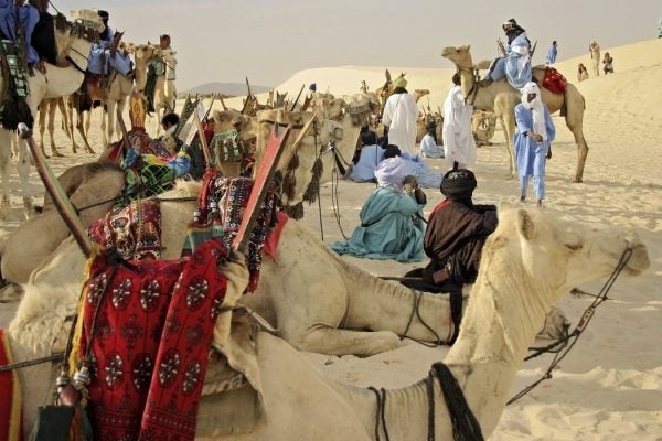 Riders and camels at rest in Timbuktu, Mali, West Africa