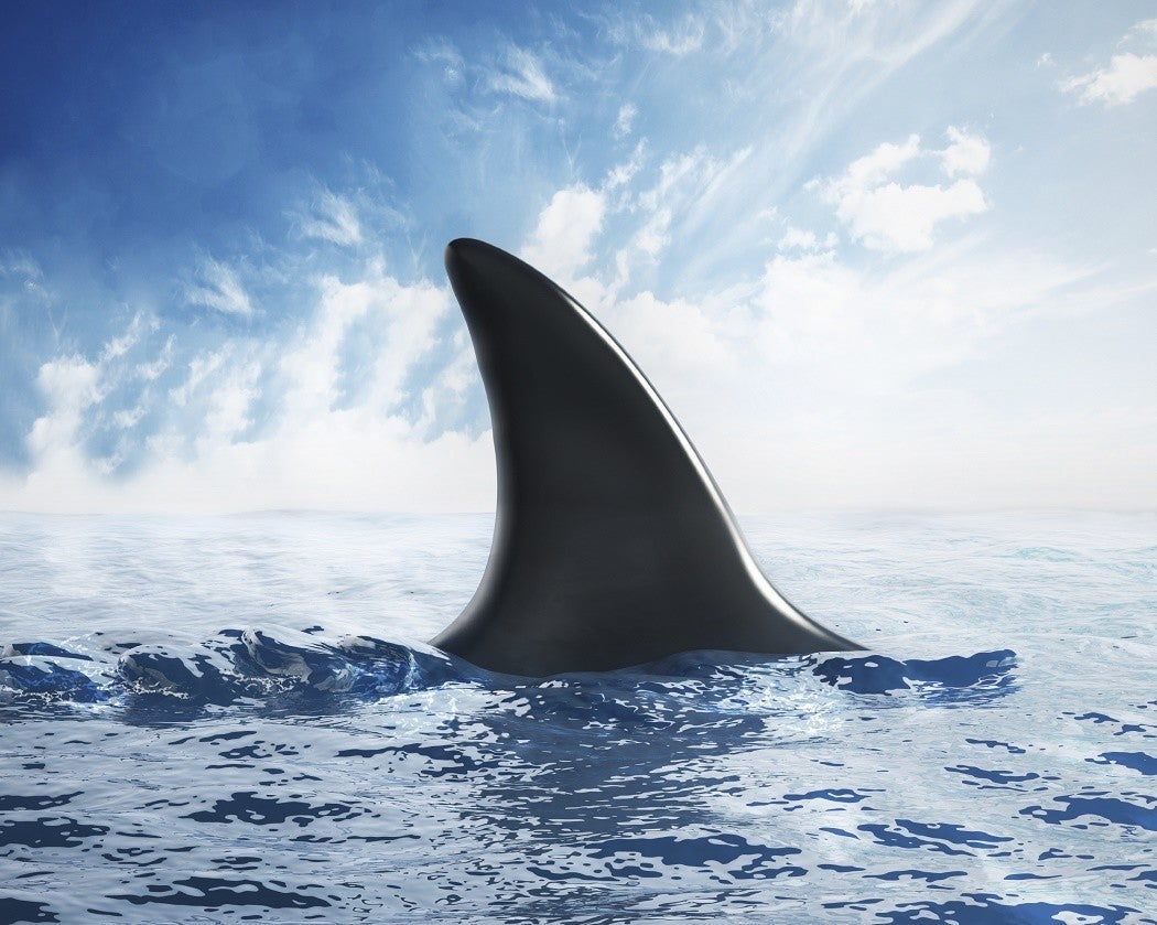 Shark Attacks: A History of Hype - JSTOR Daily
