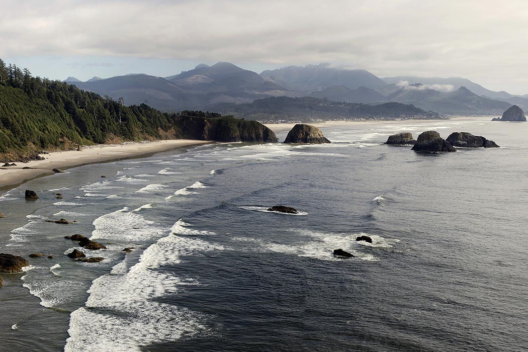 "OregonCoastEcola Edit" by Cacophony edit by Noodle snacks - Own work. Licensed under CC BY-SA 3.0 via <a href="https://commons.wikimedia.org/wiki/File:OregonCoastEcola_Edit.jpg#/media/File:OregonCoastEcola_Edit.jpg" target="_blank">Wikimedia Commons</a>