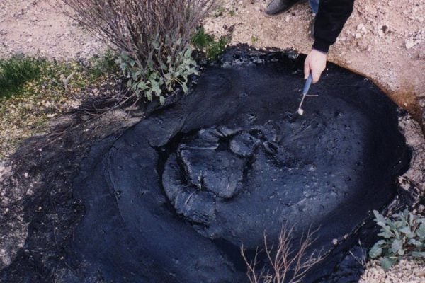 Natural tar seeps at the McKittrick Oil Field By Lldenke (Own work) [CC BY 3.0 (http://creativecommons.org/licenses/by/3.0)], via Wikimedia Commons
