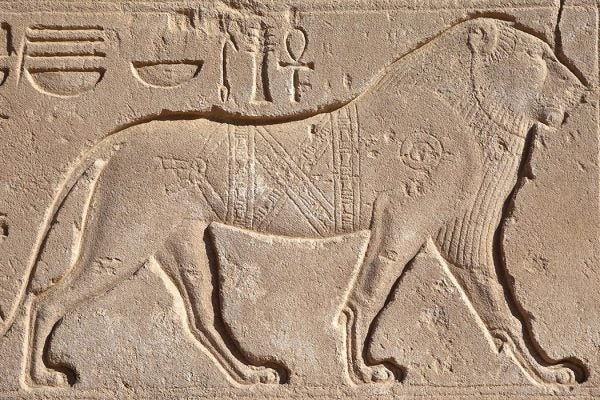 Lion hieroglyphs