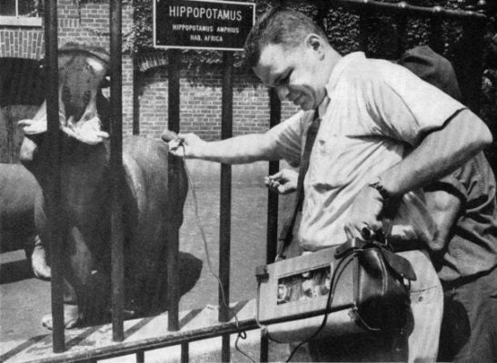 Tony Schwartz records a hippo in the Central Park Zoo. New York, NY