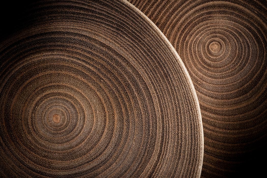 What Tree Rings Tell Us About The Climate JSTOR Daily