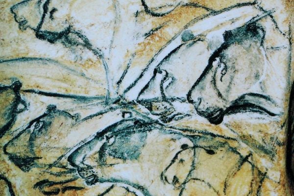Lions painted in the Chauvet Cave. This is a replica of the painting from the Brno museum Anthropos. The absence of the mane sometimes leads to these paintings being described as portraits of lionesses.
