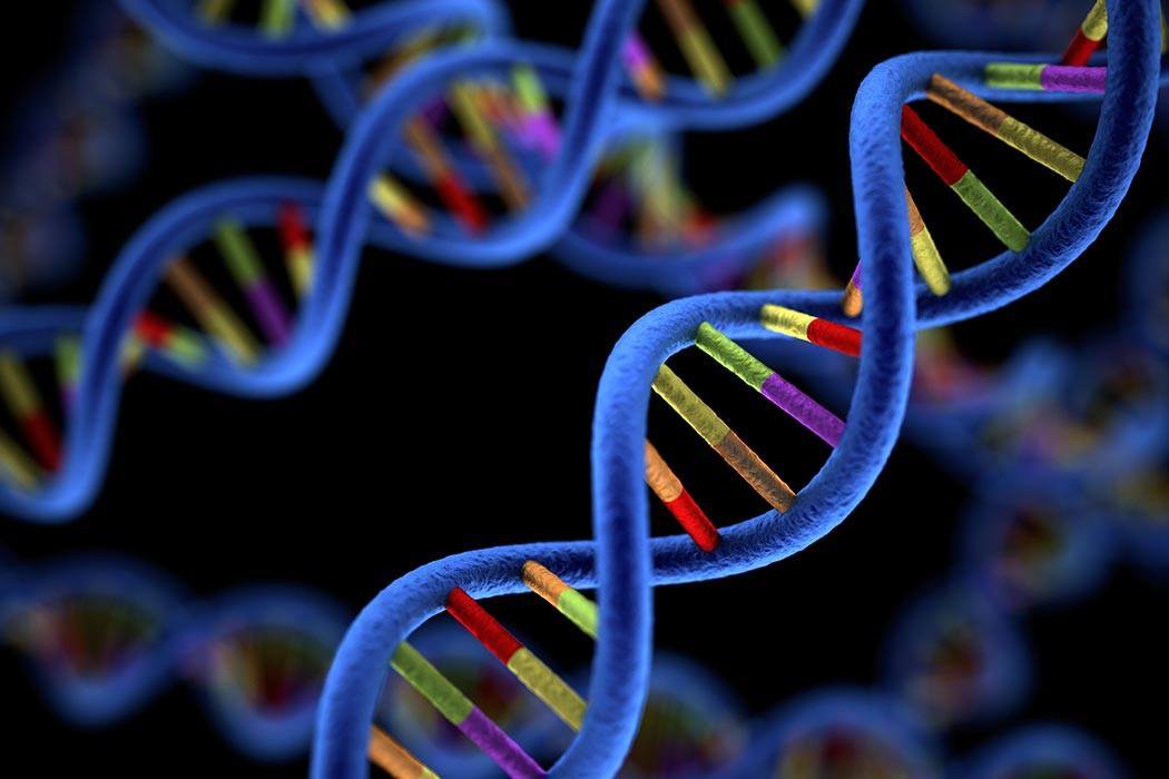 DNA Law And Order Logging Edition JSTOR Daily