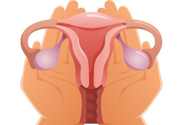 An illustration of cupped hands holding female reproductive organs