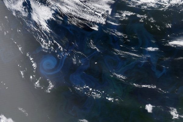 Spiral of Plankton in Indian Ocean