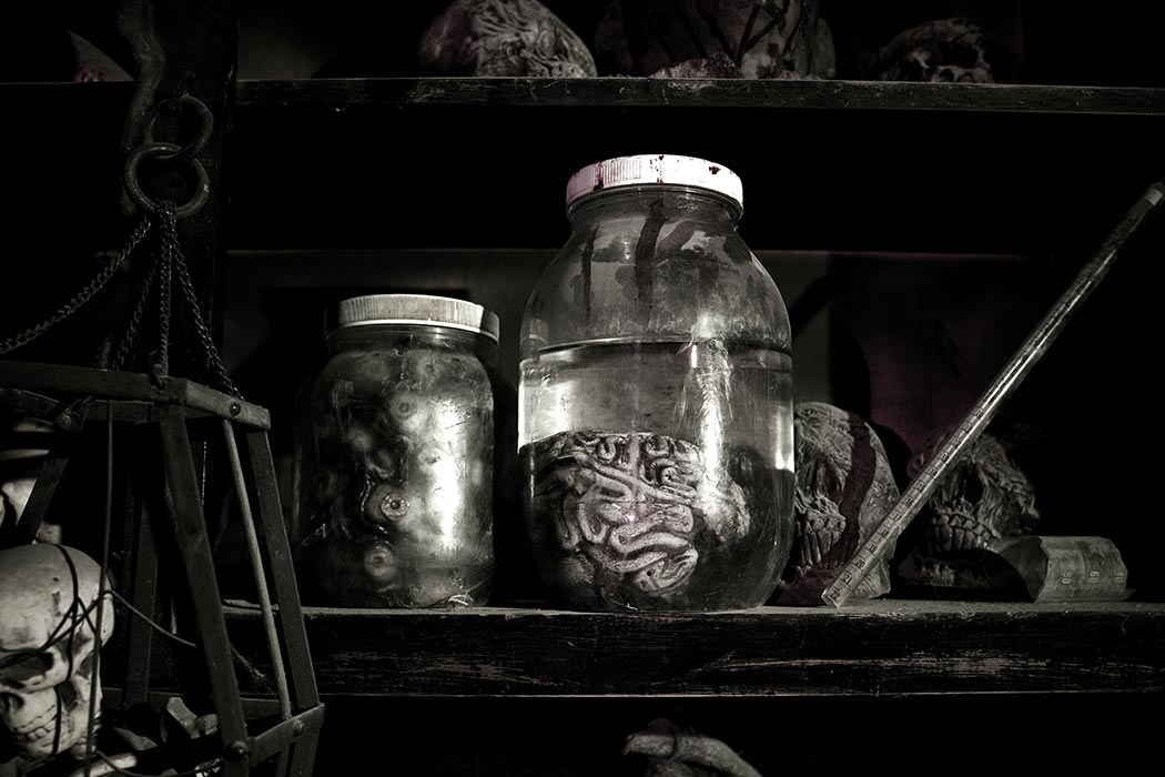 Eerie specimens preserved in jars