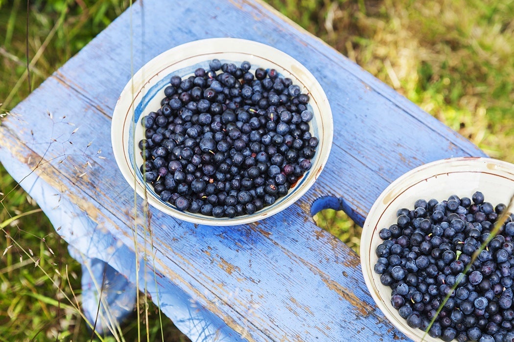 Two bowls of blueberries on a blue bench
