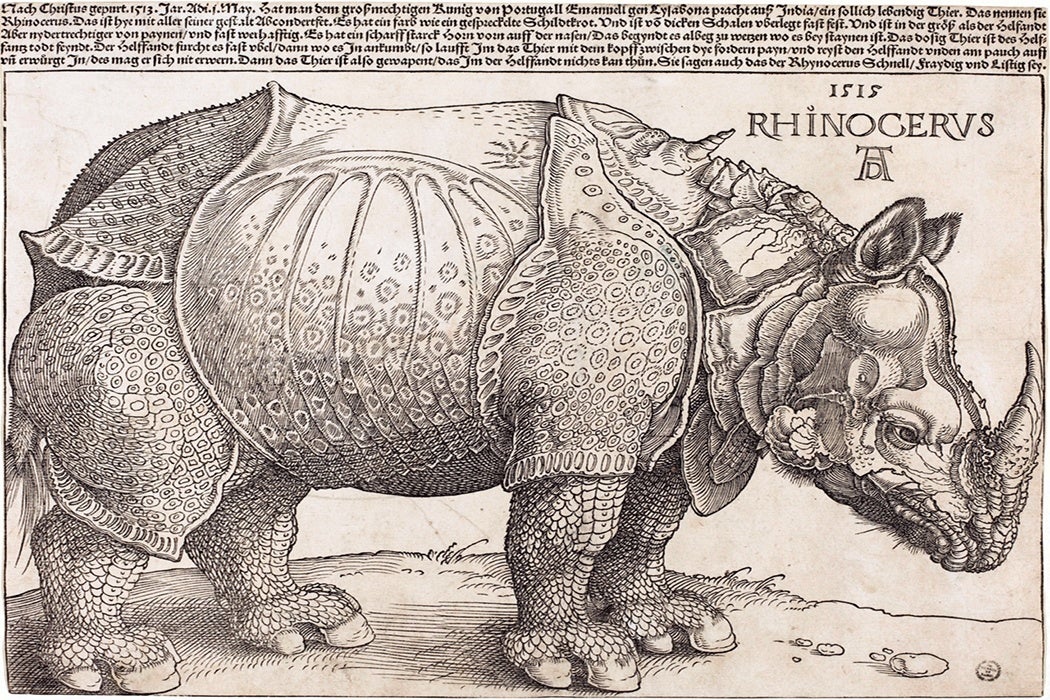 Dürer's Rhinoceros and the Birth of Print Media - JSTOR Daily