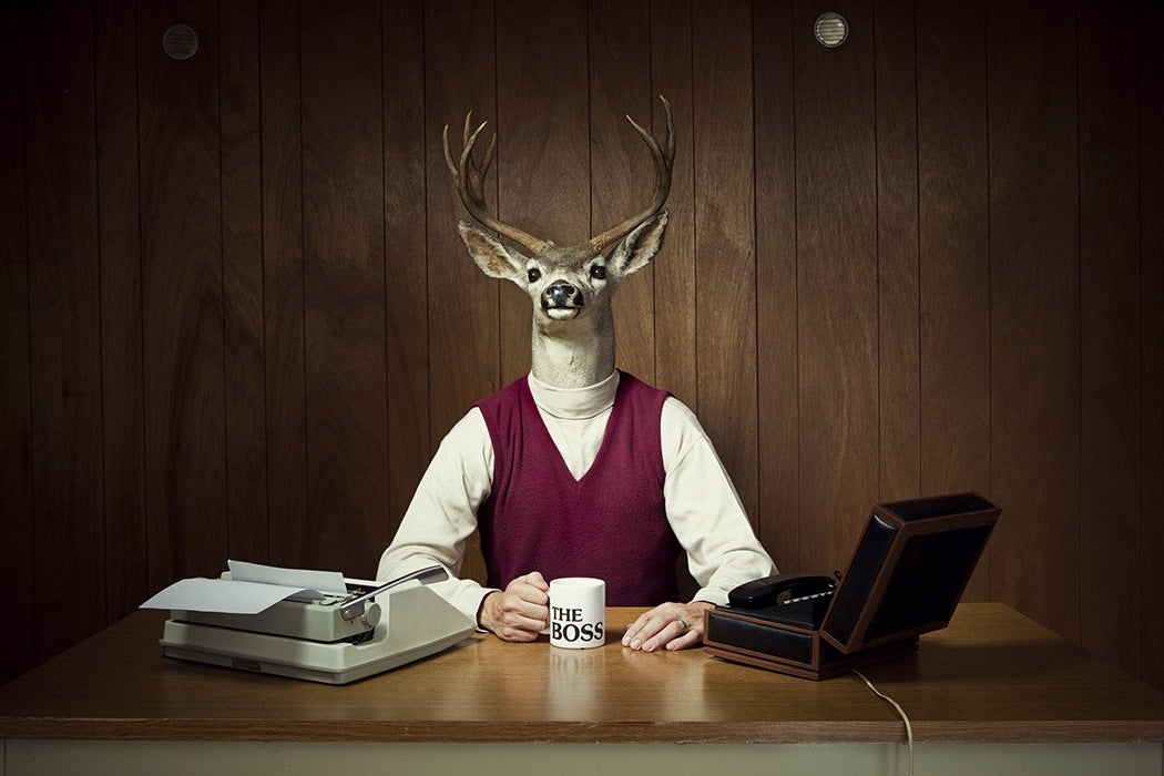 A CEO who has the head of a deer setting at a desk with a typewriter, a telephone, and a Boss mug filled with coffee