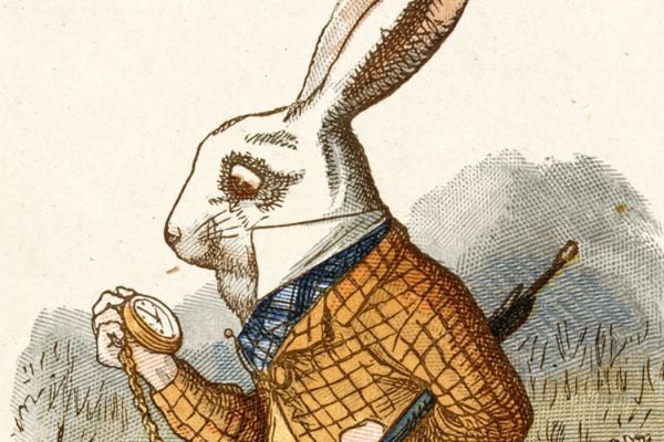 White Rabbit banned books