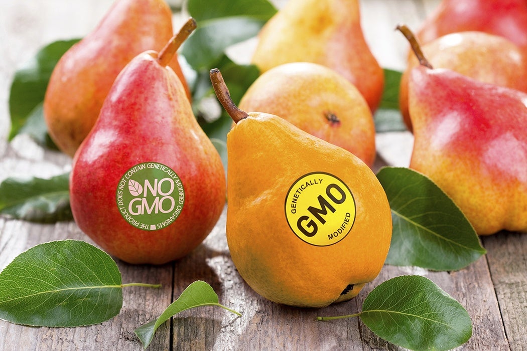 GMO pears