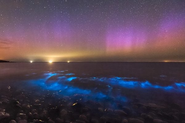 Bioluminescent ocean