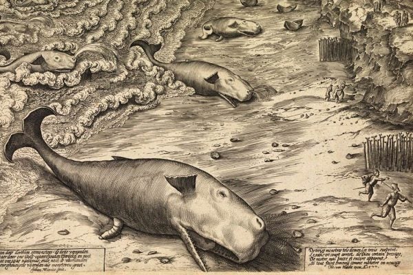 Beached whales engraving