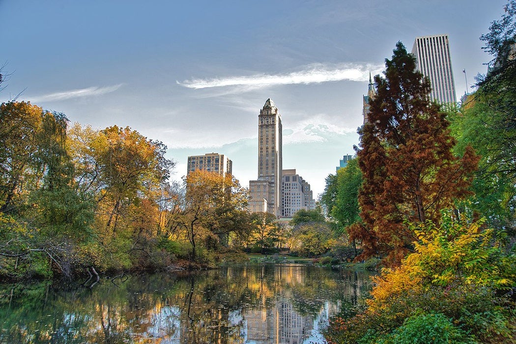 Frederick Law Olmsted The Complicated Man Behind Central Park The 