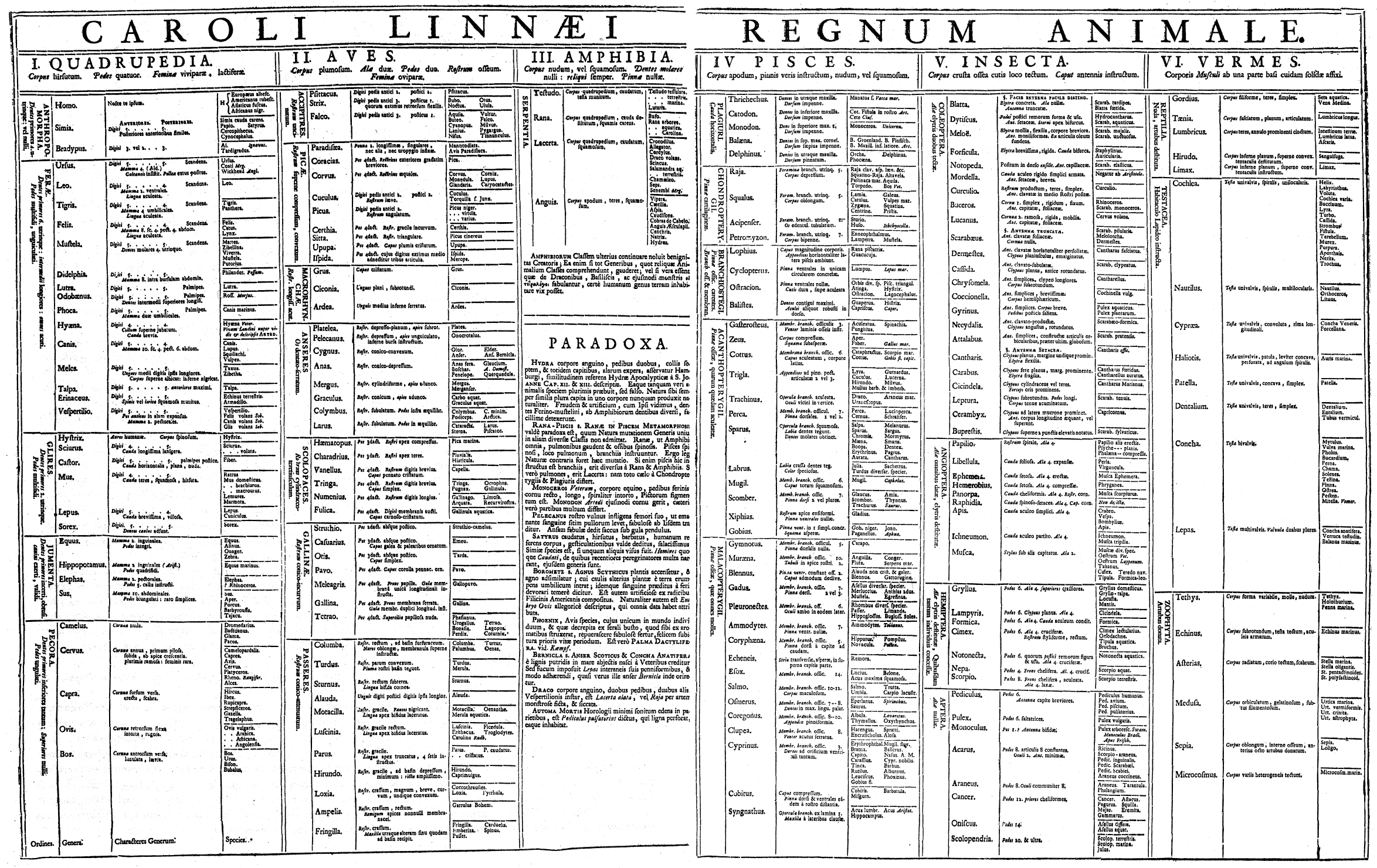 Linnaeus chart