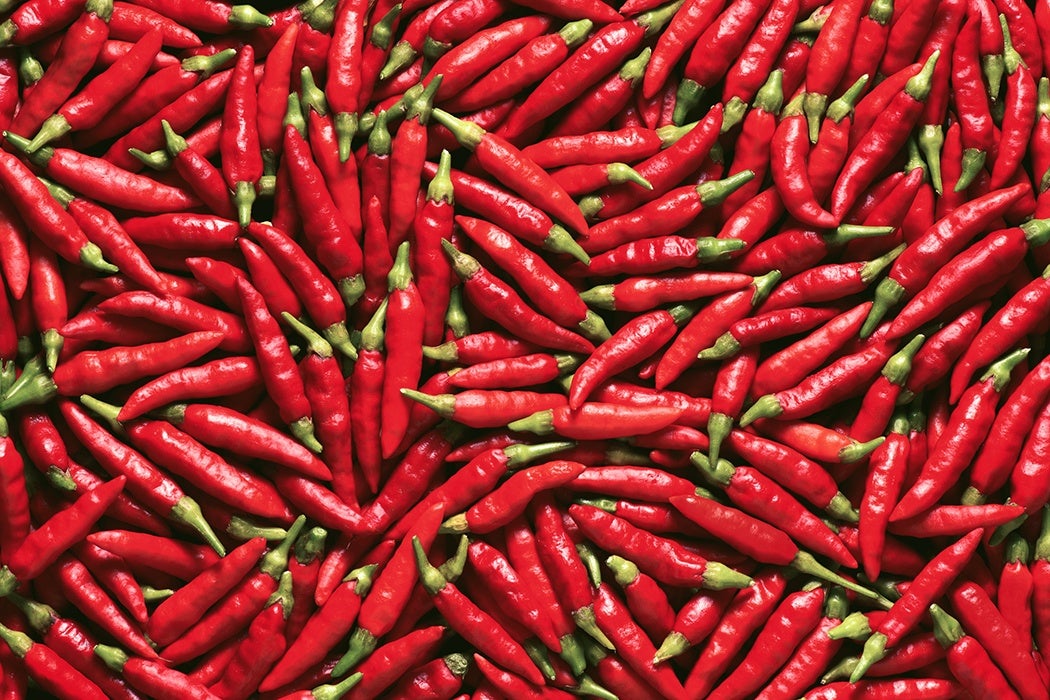 The Science Of Hot Chili Peppers JSTOR Daily
