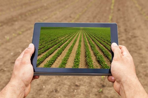 virtual farming