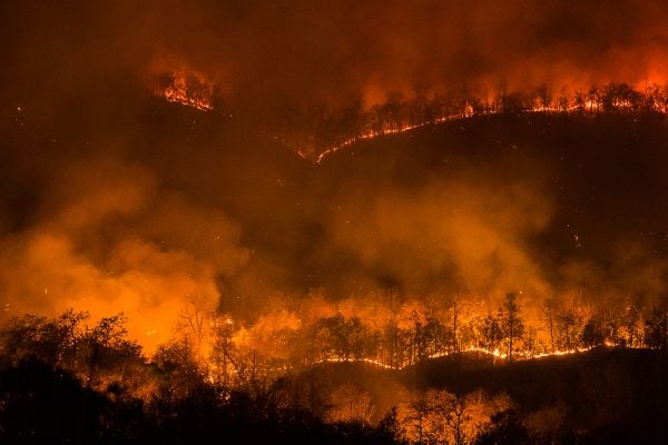 Forest fire burning, Wildfire at night in Chiangmai, Thailand