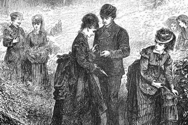 Victorian fern gatherers