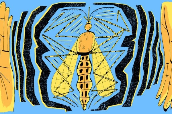 Illustration of an insect between brackets and a pair of hands