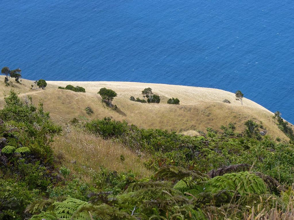 Alexander Skelkirk Island