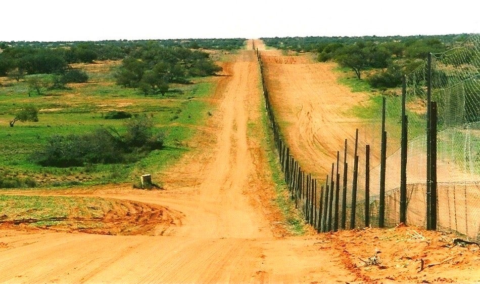 Dingo fence portion