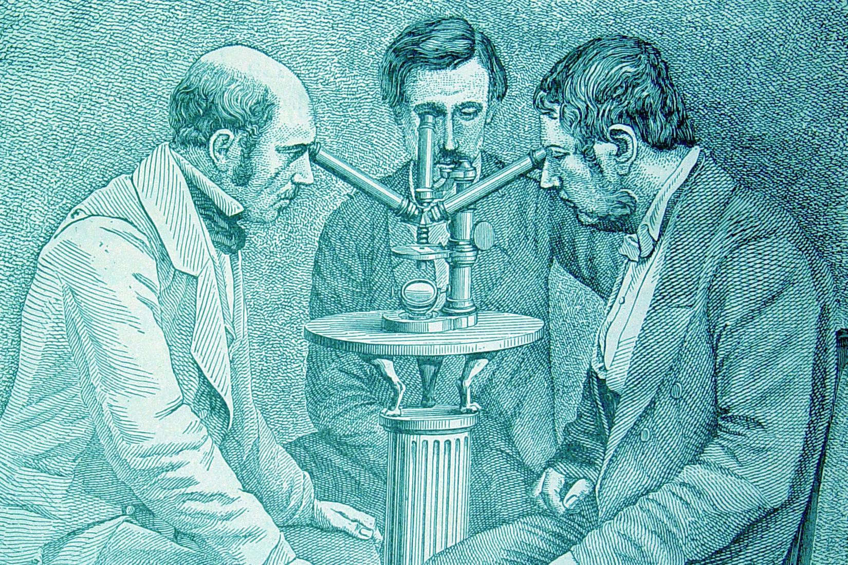Victorian Microscopy