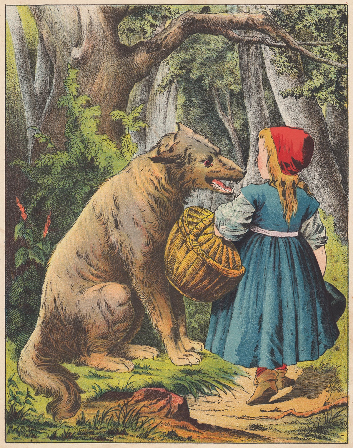 Little Red Riding Hood Original Story Grimm