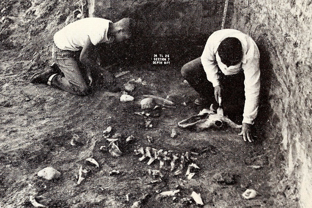 River Basin archaeologists
