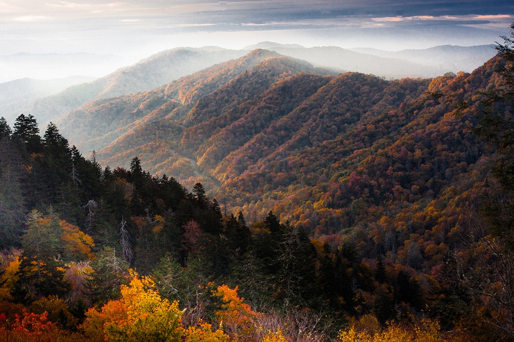 Appalachian Hillbillies