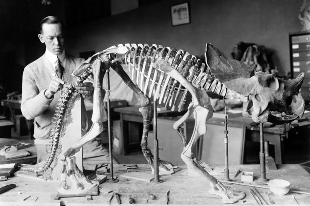 The Controversy Around the First Museum Dinosaurs - JSTOR Daily